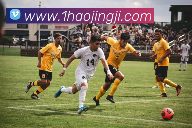 壹号娱乐平台生态图